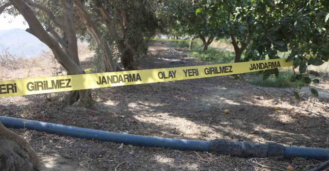 Para için arkadaşını narenciye bahçesinde satırla doğrayan şahıs yakalandı