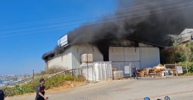 Alanya’da serada çıkan yangın depoya sıçradı