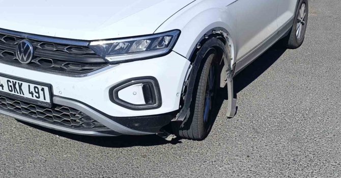 Otomobilin çarptığı köpek telef oldu