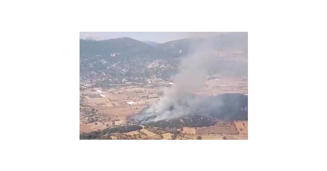 Burdur’da tarlada çıkan yangın ormanlık alana sıçradı