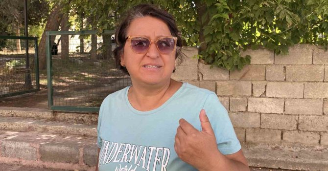 Burdur’da sokak köpeklerinin saldırdığı kadın yaralandı