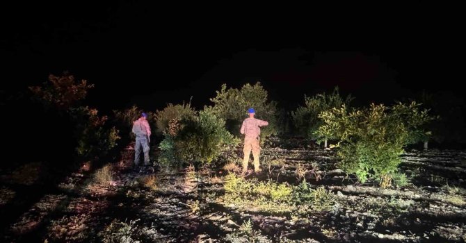 Jandarma ekipleri, narenciye hırsızlarına karşı devriyede