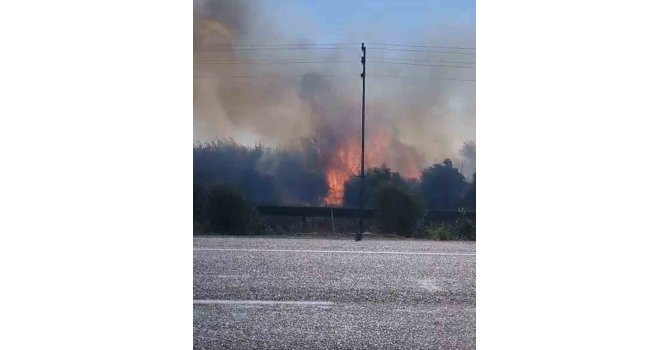 Zamanında müdahale yangının bahçelere sıçramasını önledi