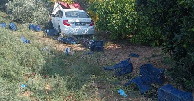 Otomobil bahçeye daldı: Hasat yapan işçilerden 1’i öldü, 3’ü yaralandı