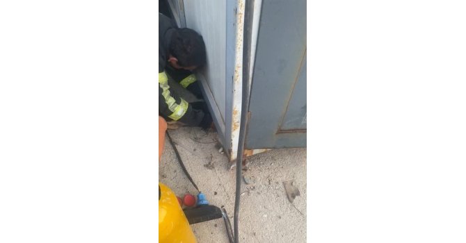 Konteyner altında sıkışıp mahsur kalan yavru köpeği itfaiye ekipleri kurtardı