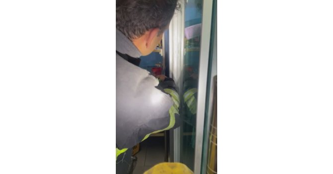 Marketin soğutma dolabına giren yılanı, itfaiye yakaladı