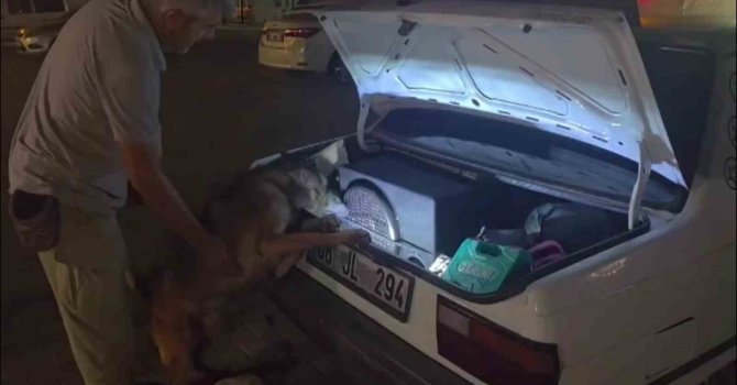 Ucuza bulunca almış: Hoparlörden 2 bine yakın uyuşturucu hap çıktı