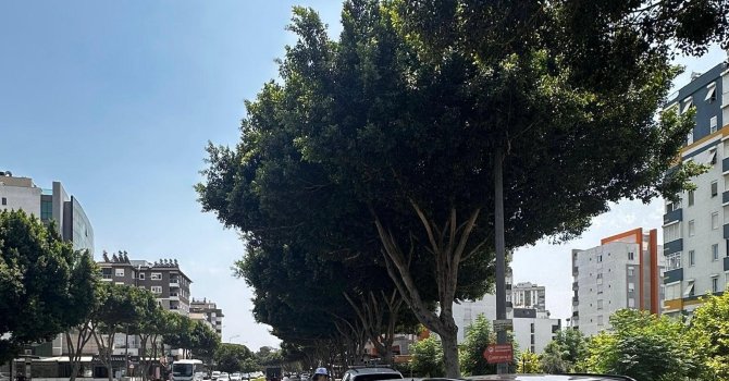 Antalya’da son 1 haftada 16 bin 155 araç ve sürücüsüne ceza kesildi