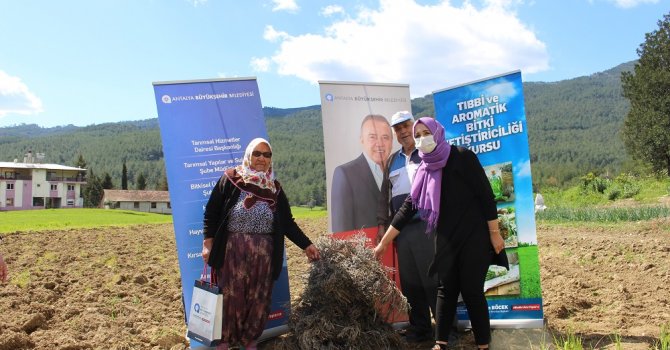 Büyükşehir, çiftçiye destek için tıbbi ve aromatik bitki üretiyor