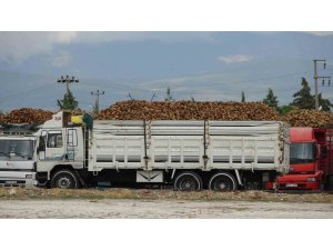 Burdur’da yaklaşık 700 bin ton şeker pancarı işlenecek