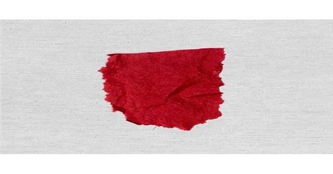 Yunus Timleri uyuşturucu operasyonu