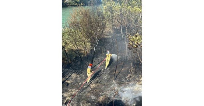 Mersin’de bahçe yangını büyümeden söndürüldü