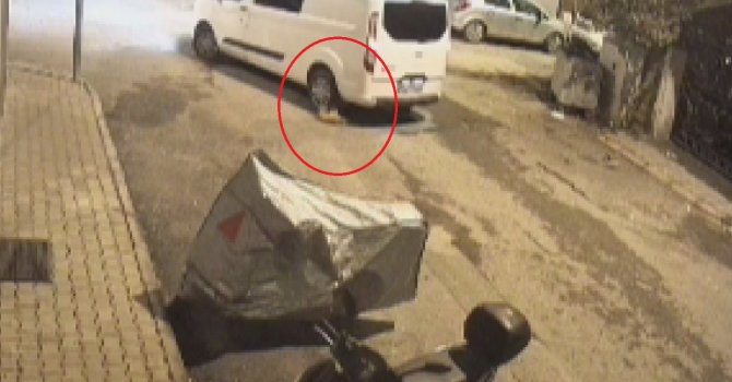 Minibüs sürücüsünün ezdiği kediye aldırış etmeden yoluna devam ettiği anlar kamerada