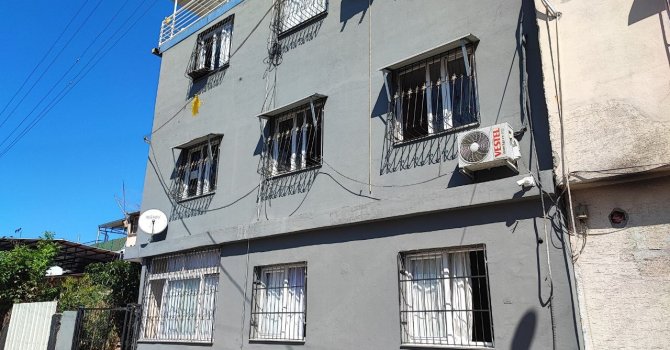 Kediyi çalıp fotoğraf çekindiler: O anlar kameraya yansıdı