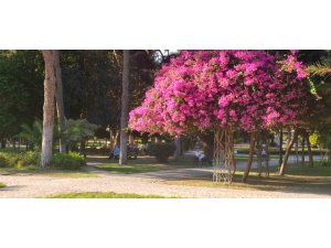 Adana’da yazdan kalma günler yaşanıyor