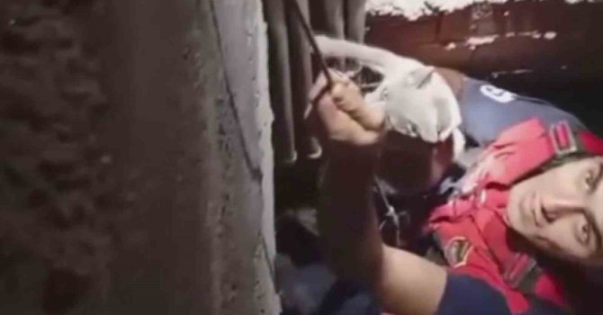 7 metre derinliğindeki boşluğa düşen kedi, zorlu operasyonla kurtarıldı