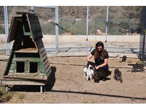 Antalya’da sokak hayvanlarına 7/24 bakım ve rehabilitasyon