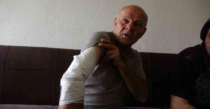 Beslemek istediği köpek saldırdı, koluna 10’dan fazla dikiş atıldı