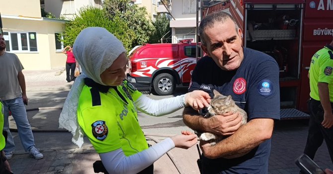 Yangında telef olduğu sanılan kedi dolabın arkasında saklanırken bulundu