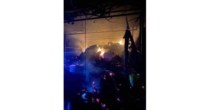 Ahırda yangınında 1 buzağı telef oldu