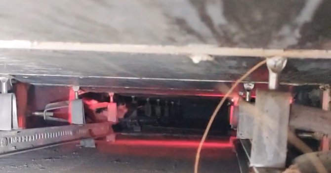 Reklam panosunda mahsur kalan kediyi itfaiye kurtardı