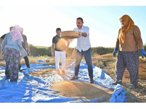 Başkan Güngör: "Manavgat’ın coğrafi işaret tescilli ’altın susamı’, Türkiye’nin en kaliteli susamı olarak öne çıkıyor"