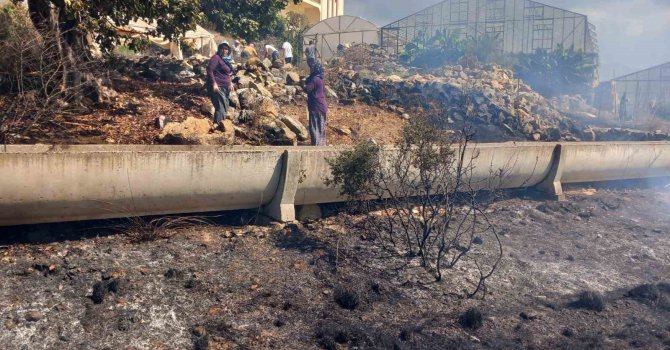 Gazipaşa’da zirai alanda yangın büyümeden söndürüldü