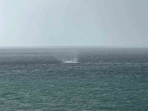 Alanya açıklarında oluşan hortum korkuttu