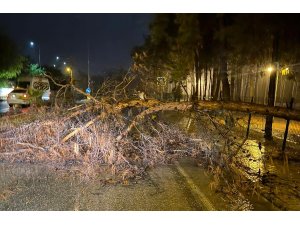 Alanya Belediyesi olumsuz hava şartlarına karşı teyakkuzda