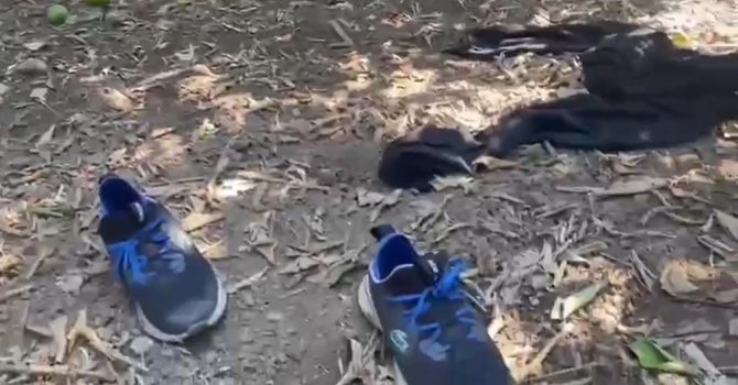 5 yıldızlı otele silahla saldırıp bahçede kıyafet değiştirmişler