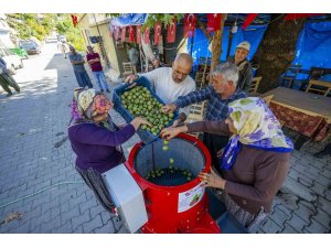 Mersin’de üreticiye ceviz soyma makinesi desteği