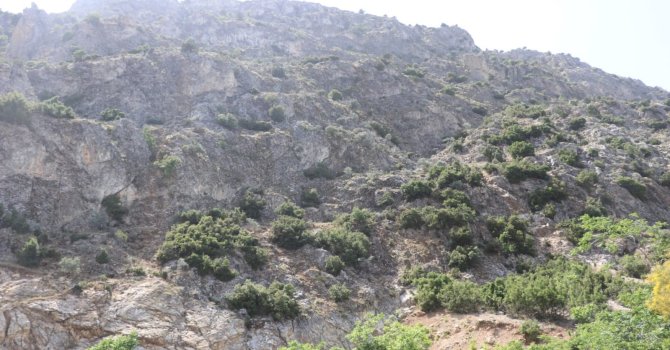 Doğa gezisine çıktı, ’En tepeye çıktım, mükemmel bir manzara var’ dedikten sonra haber alınamadı