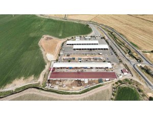 Kahramanmaraş canlı hayvan pazarı açıldı