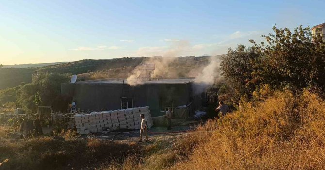 Yangında ev küle döndü, tek teselli kurtarılan muhabbet kuşları oldu