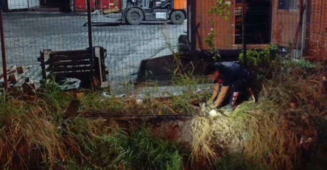 Su kanalına düşen kedi itfaiye ekiplerince kurtarıldı