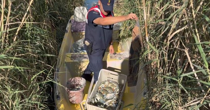 Göksu Deltası’nda mavi yengeç avcıları yakalandı