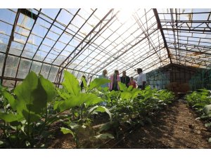 Doyran halkına obezite anlatıldı