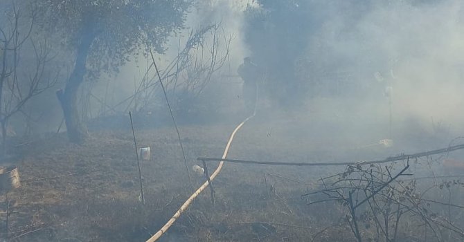 Antakya’da zeytinlik alanda yangın