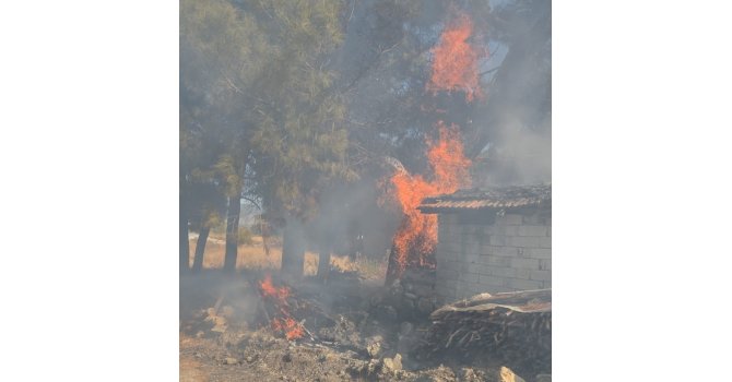 Bucak’ta odunlukta çıkan yangın korkuttu