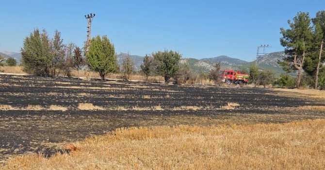 Bucak’ta arazide çıkan yangın itfaiye ekiplerince söndürüldü