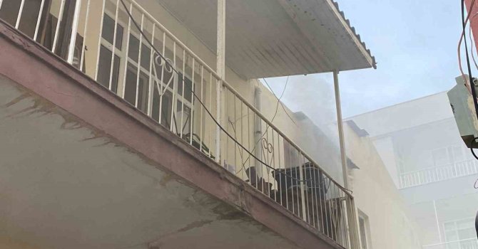 Antalya’da yangın çıkan evdeki muhabbet kuşunu itfaiye kurtardı