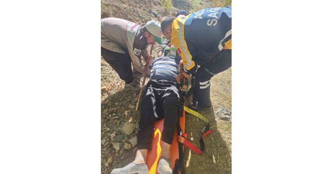 Hayvan otlatırken kayalıklardan düşen gazi kurtarıldı