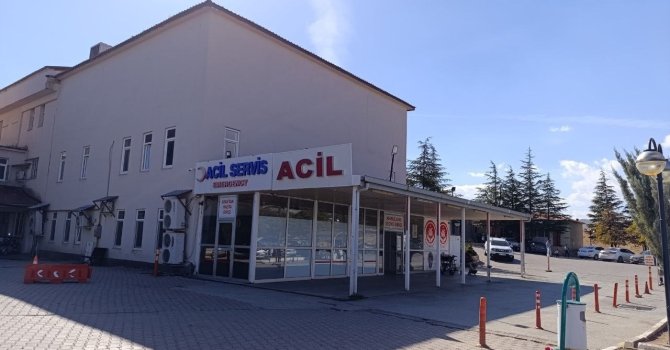 Kahramanmaraş’ta arının soktuğu çocuk hayatını kaybetti