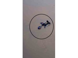 Suyla dolu alt geçitte ölümle burun buruna gelen engelli yaşlı kadını itfaiye kurtardı