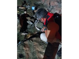 Ceyhan Nehri’ndeki kirlilikle ilgili numune alındı