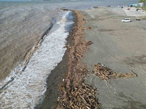 Şiddetli yağışla kahverengiye dönen Akdeniz’de kıyı kütüklerle kaplandı