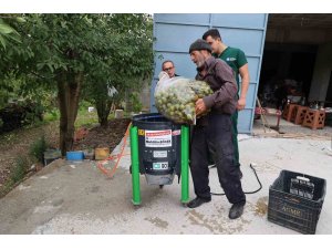 Büyükşehir’in ceviz soyma makineleri üreticilerin hizmetinde