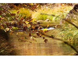 Cödden Vadisi görenleri hayran bırakıyor