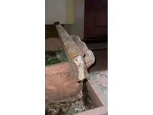 Demir profile sıkışan kediyi itfaiye ekipleri kurtardı