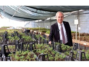 Kepez’den kurakçıl peyzaj hamlesi